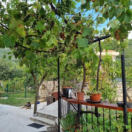 Guest House Duletic Budva Exterior photo